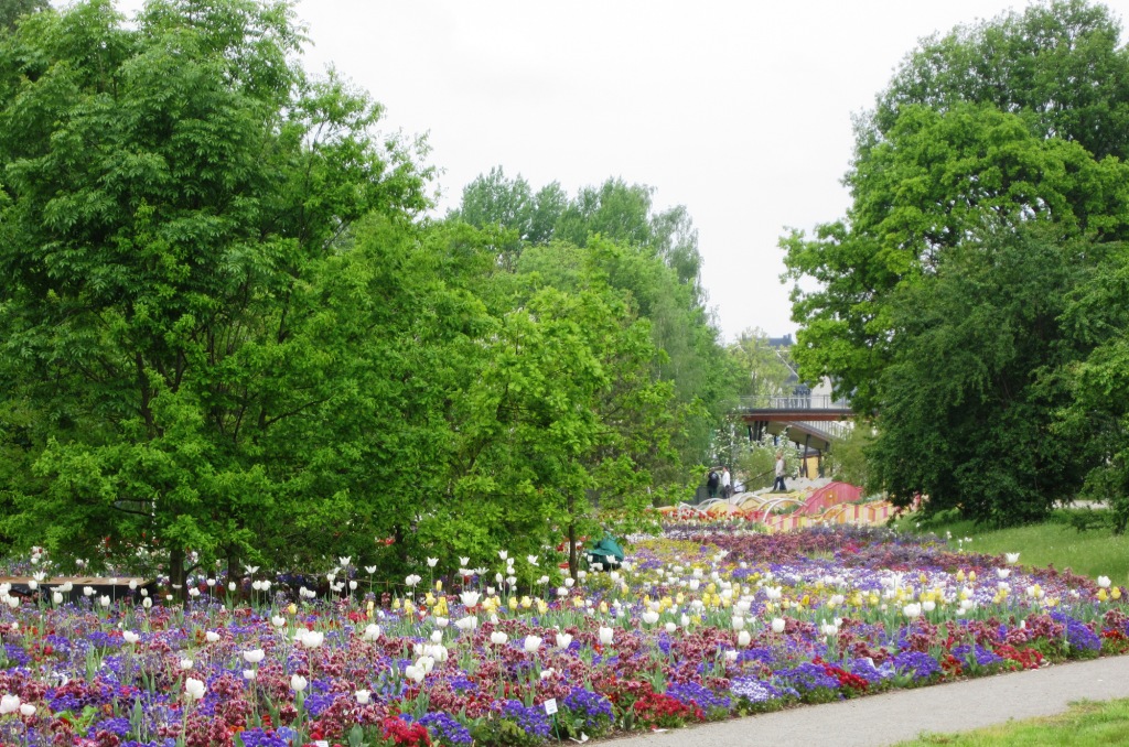 Blumenwiese Landesgartenschau